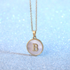 Amazon Small Shell Letter Titanium Pendant